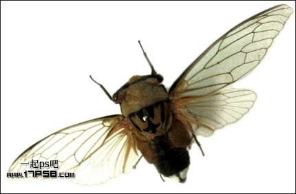 photoshop合成夜半梦境坐在孤灯旁取暖的女精灵