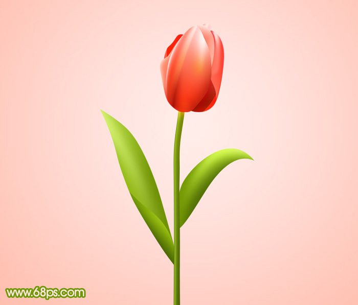 Photoshop打造一朵含苞欲放的红色郁金香教程”