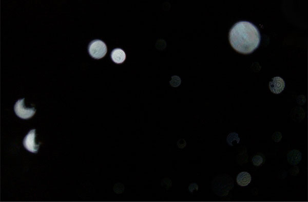 Photoshop制作漂亮的欧美版暗夜精灵效果