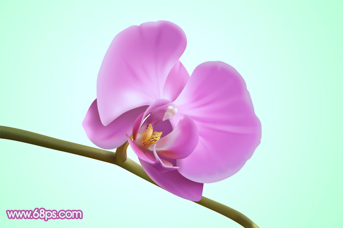 Photoshop设计制作出一朵漂亮逼真的紫色蝴蝶兰”
