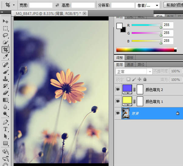 photoshop利用纯色图层快速打造中性蓝黄色花朵图片
