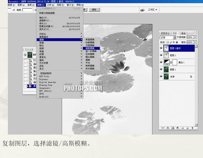 Photoshop将普通的荷叶图转成经典水墨画效果