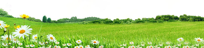 Photoshop打造唯美的彩虹岛婚片教程