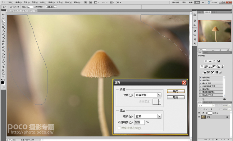 photoshop打造出唯美梦幻的微距生态摄影图片教程