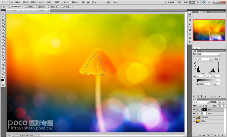 photoshop打造出唯美梦幻的微距生态摄影图片教程