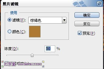 photoshop利用画笔及描边路径制作出漂亮的金色树叶字