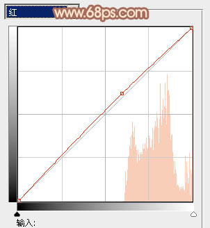 Photoshop为草地婚片添加淡美的暖褐色效果