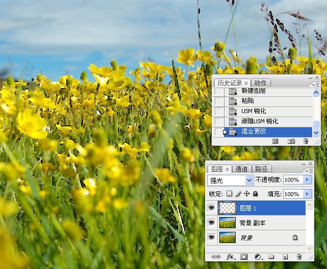 photoshop锐化技术知识学习