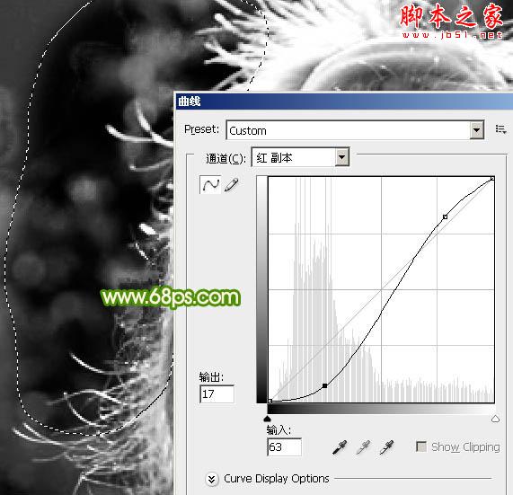 photoshop利用通道精确抠出背景稍微复杂的人物发丝