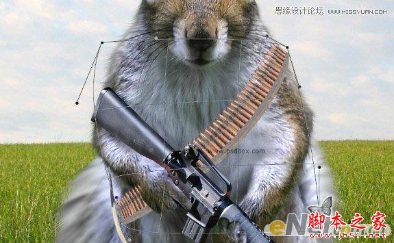 Photoshop设计打造出草原上超酷的松鼠守卫战士
