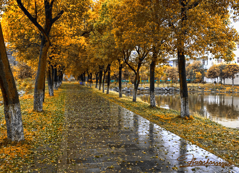 Photoshop Cs6使用hdr色调快速为偏暗雨后风景照调制出秋季金黄色效果 Photoshop教程 脚本之家