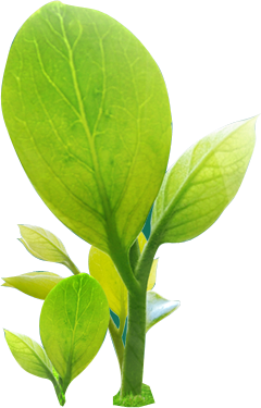 Photoshop设计制作漂亮的透明环保气泡图标