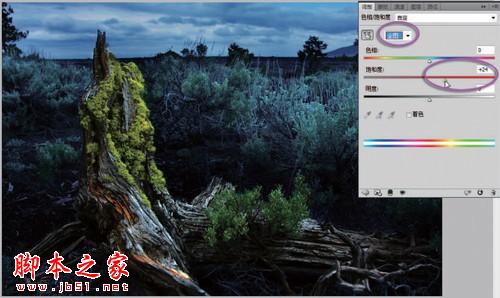 photoshop将偏暗的外景图片后期处理让照片更加清晰生动