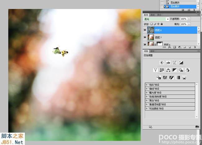 PS为飞舞的蝴蝶加上绚丽的光斑背景