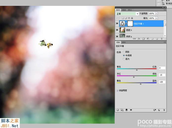 PS为飞舞的蝴蝶加上绚丽的光斑背景