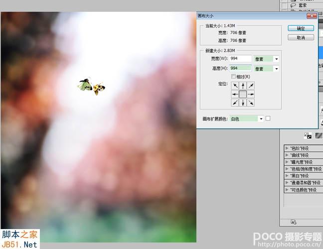 PS为飞舞的蝴蝶加上绚丽的光斑背景