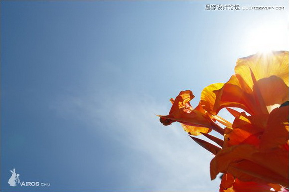 Photoshop调出数码照片暗红冷色调效果