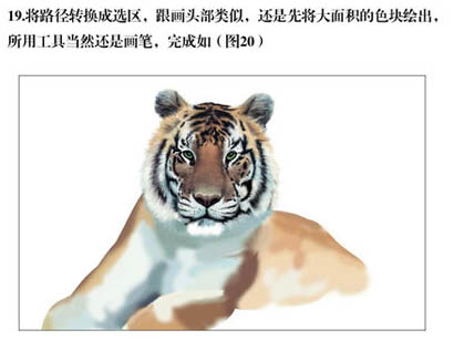 PS�ֻ�ݴ����ϻ��廭