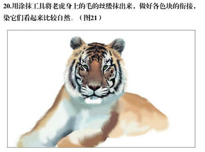 PS�ֻ�ݴ����ϻ��廭