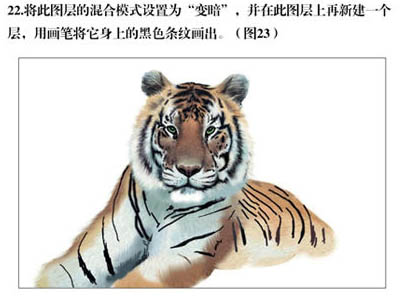 PS�ֻ�ݴ����ϻ��廭