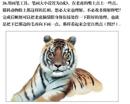 PS�ֻ�ݴ����ϻ��廭