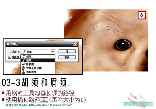 photoshop鼠绘可爱狗狗