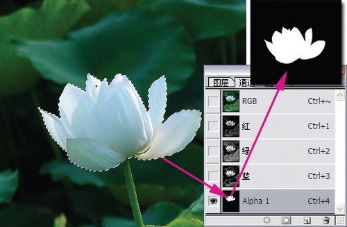 PS通道从入门到精通深度剖析教程