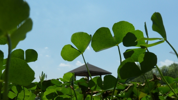 你100%不知道的PS神级技巧详细介绍 