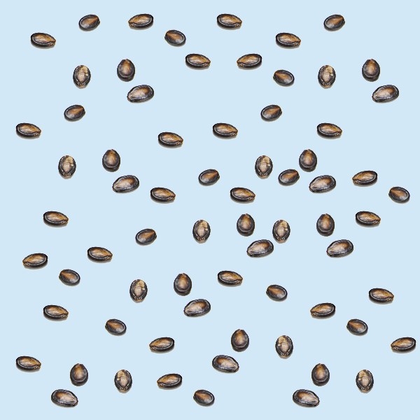 你100%不知道的PS神级技巧详细介绍 