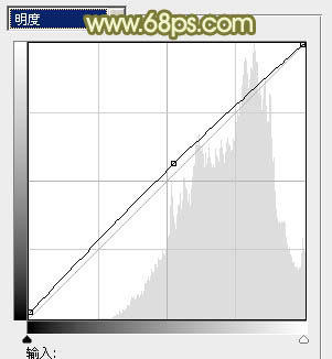 Photoshop将外景婚片调出甜美的淡调青黄色