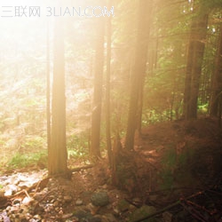 photoshop快速将偏暗的森林图片打造迷人的霞光色