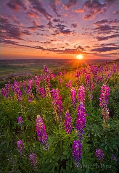 怎样分辨图片是否被PS过 