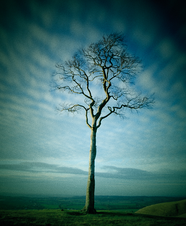 PS调出“重口味”小清新