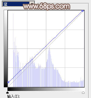 Photoshop为甜美的外景美女加上漂亮的粉褐色