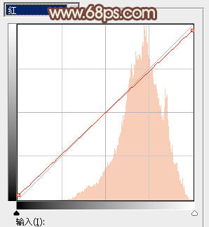 PhotoshopΪϪ�ߵ���Ů���Ƴ�Ư���ĵ������ɫ