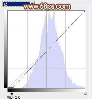 PhotoshopΪϪ�ߵ���Ů���Ƴ�Ư���ĵ������ɫ