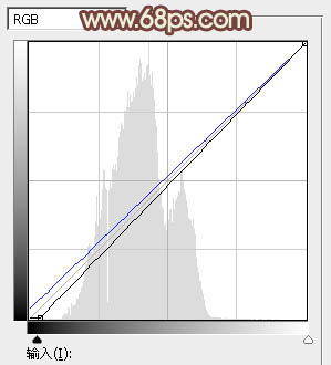 PhotoshopΪϪ�ߵ���Ů���Ƴ�Ư���ĵ������ɫ