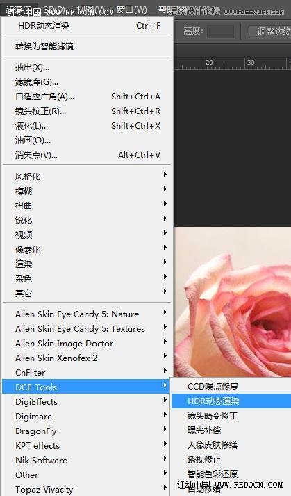 Photoshop利用Camera Raw和HDR动态渲染滤镜调出柔美清新的粉色玫瑰