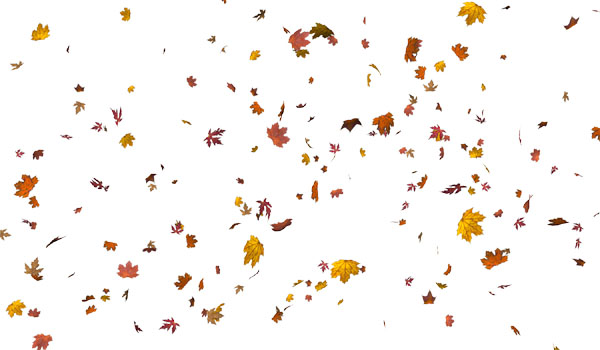 Photoshop��������������Ҷͷ��Ч��