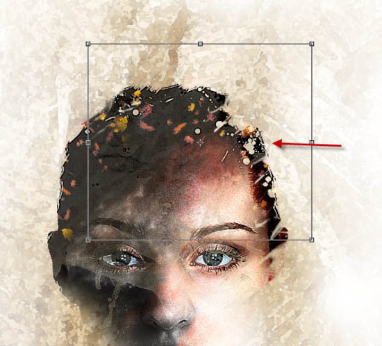 Photoshop��������������Ҷͷ��Ч��