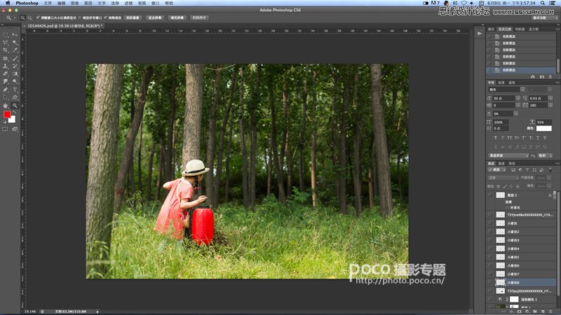 Photoshop详细解析龙猫后期PS攻略