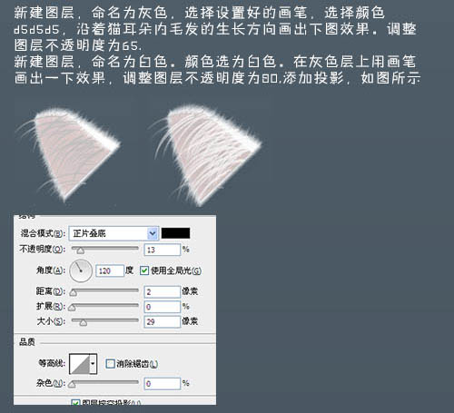 photoshop鼠绘神态憨厚的小白猫头像效果