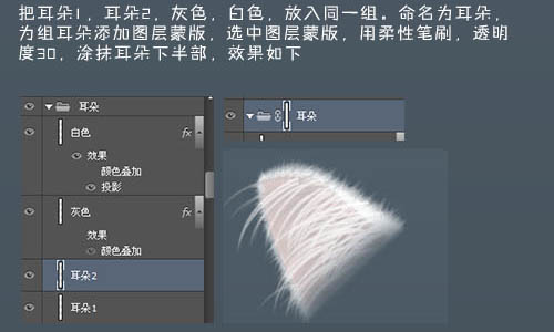photoshop鼠绘神态憨厚的小白猫头像效果