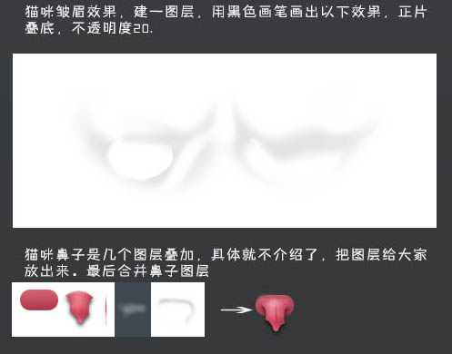 photoshop鼠绘神态憨厚的小白猫头像效果