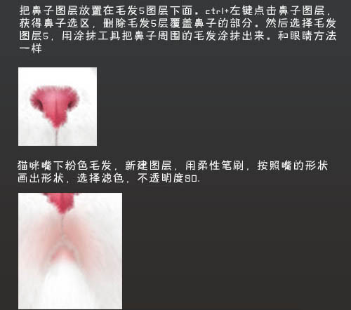 photoshop鼠绘神态憨厚的小白猫头像效果