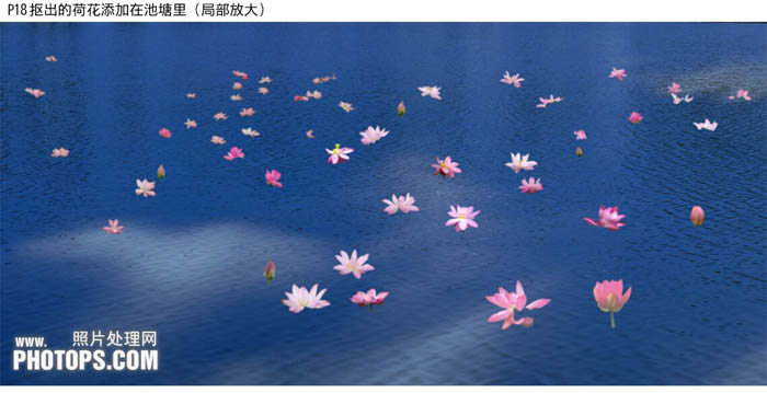 Photoshop为水景图片增加漂亮的荷叶及蓝天