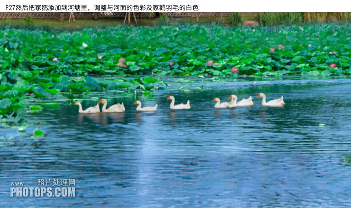 Photoshop为水景图片增加漂亮的荷叶及蓝天