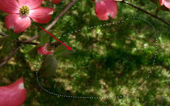 Photoshop打造颓废创意的金色鲜花人像海报