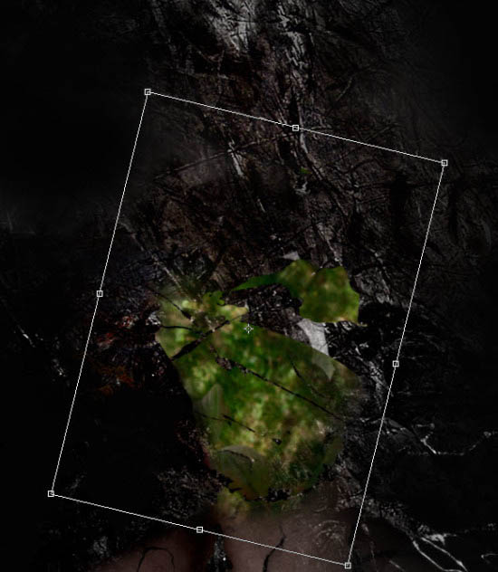 Photoshop打造颓废创意的金色鲜花人像海报