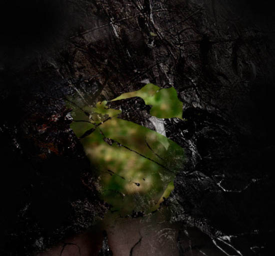 Photoshop打造颓废创意的金色鲜花人像海报